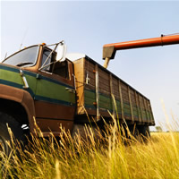 Bu�day Toptanc�l���