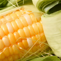 M�s�r kurutma tesisi